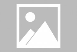 石家庄天天爆料事件最新,最新事件追踪，揭秘背后真相